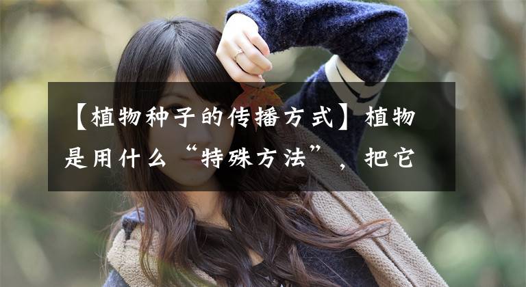 【植物种子的传播方式】植物是用什么“特殊方法”，把它的种子传播到世界各个角落的？