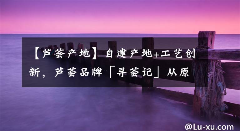 【芦荟产地】自建产地+工艺创新，芦荟品牌「寻荟记」从原料入手做品控
