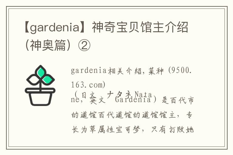 【gardenia】神奇宝贝馆主介绍（神奥篇）②