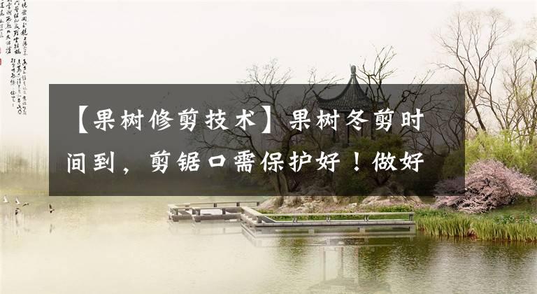 【果树修剪技术】果树冬剪时间到，剪锯口需保护好！做好这3点，有效避免病菌感染