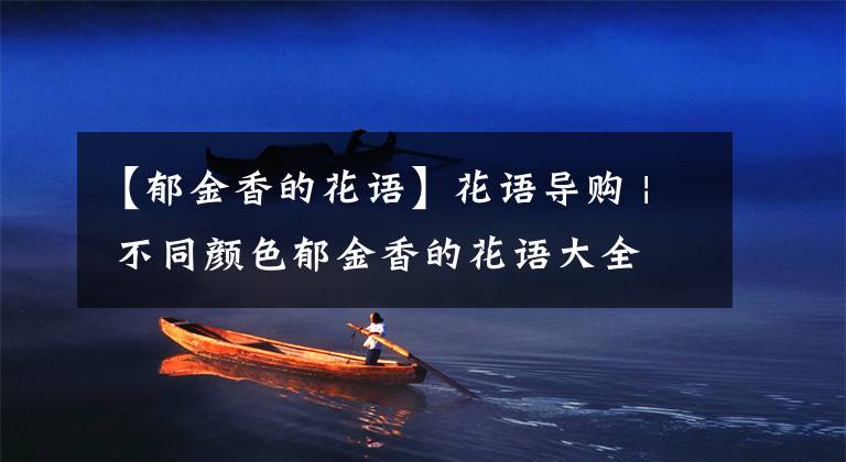 【郁金香的花语】花语导购 | 不同颜色郁金香的花语大全