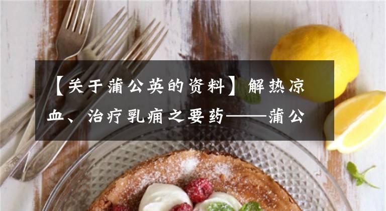 【关于蒲公英的资料】解热凉血、治疗乳痈之要药——蒲公英介绍