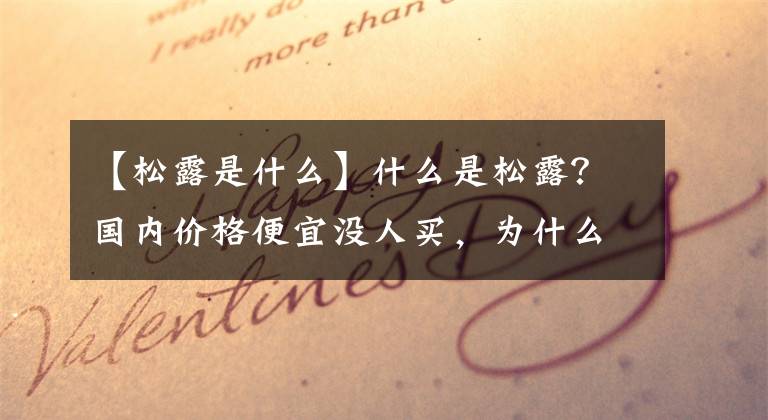 【松露是什么】什么是松露？国内价格便宜没人买，为什么国外价值百万也有人抢？