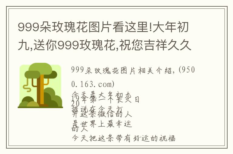 999朵玫瑰花图片看这里!大年初九,送你999玫瑰花,祝您吉祥久久、快乐久久、幸福久久