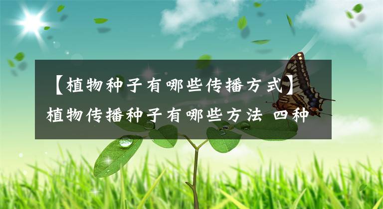 【植物种子有哪些传播方式】植物传播种子有哪些方法 四种常见方法介绍