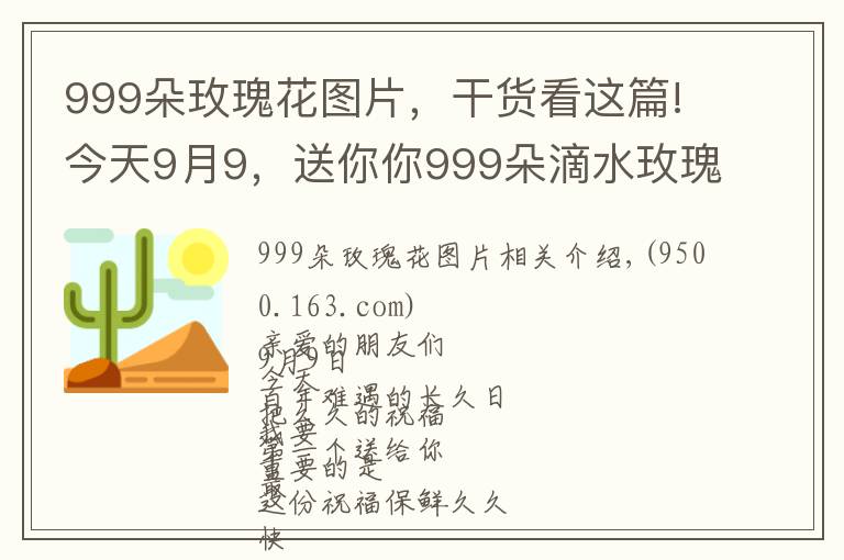 999朵玫瑰花图片，干货看这篇!今天9月9，送你你999朵滴水玫瑰，祝你幸福天长地久，早上好