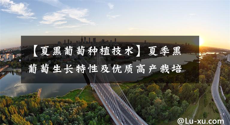 【夏黑葡萄种植技术】夏季黑葡萄生长特性及优质高产栽培技术