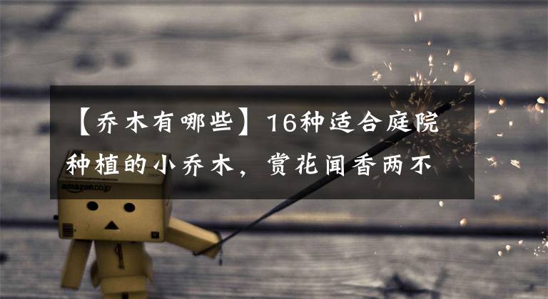 【乔木有哪些】16种适合庭院种植的小乔木，赏花闻香两不误
