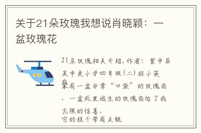 关于21朵玫瑰我想说肖晓颖：一盆玫瑰花