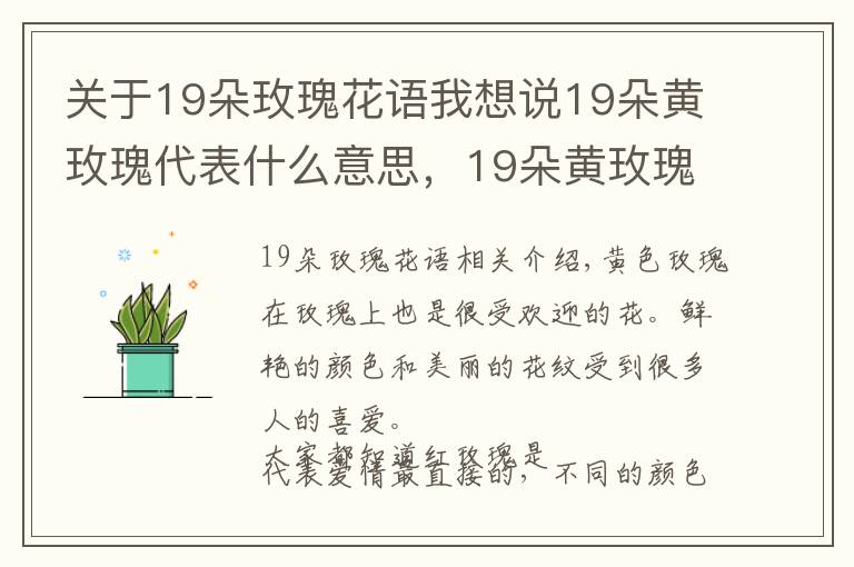 关于19朵玫瑰花语我想说19朵黄玫瑰代表什么意思，19朵黄玫瑰花语是什么（为爱道歉）