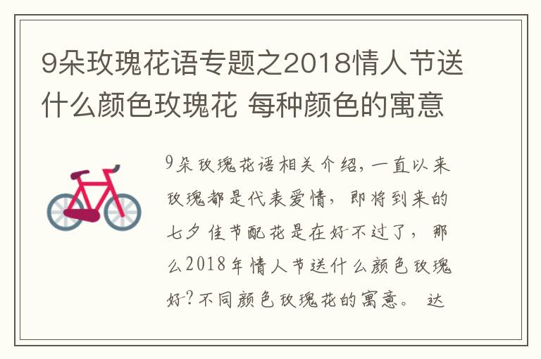 9朵玫瑰花语专题之2018情人节送什么颜色玫瑰花 每种颜色的寓意