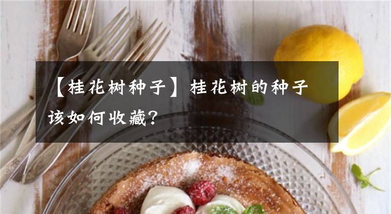 【桂花树种子】桂花树的种子该如何收藏？