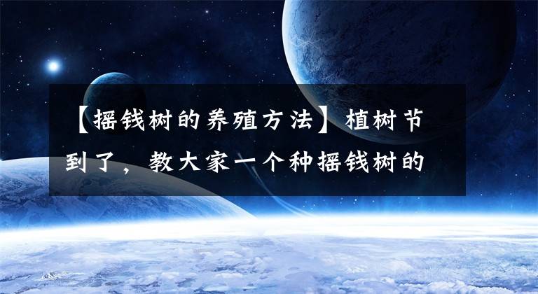 【摇钱树的养殖方法】植树节到了，教大家一个种摇钱树的好方法