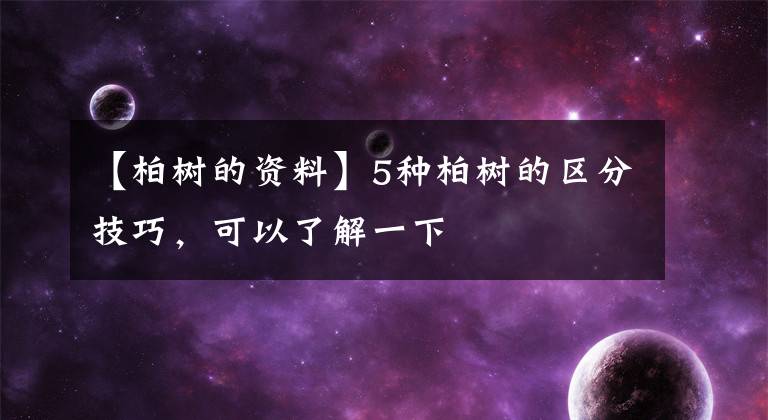 【柏树的资料】5种柏树的区分技巧，可以了解一下