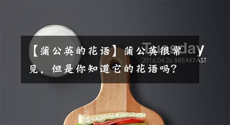 【蒲公英的花语】蒲公英很常见，但是你知道它的花语吗？