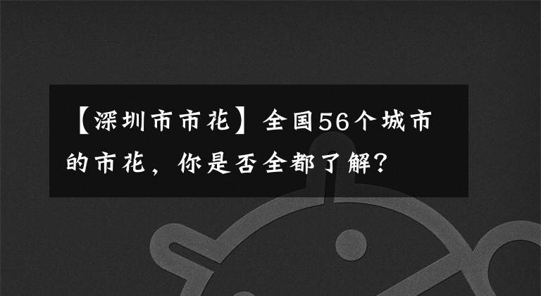 【深圳市市花】全国56个城市的市花，你是否全都了解？