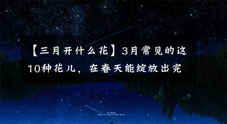 【三月开什么花】3月常见的这10种花儿，在春天能绽放出完美的光彩