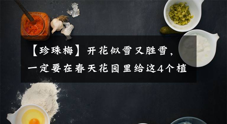 【珍珠梅】开花似雪又胜雪，一定要在春天花园里给这4个植物留个位