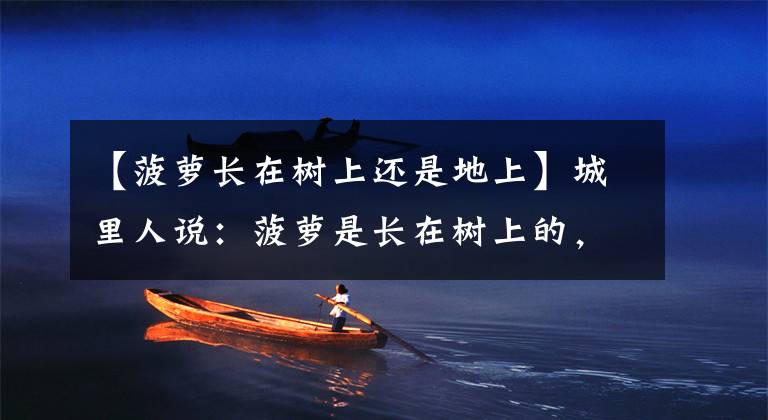 【菠萝长在树上还是地上】城里人说：菠萝是长在树上的，农民朋友听了哈哈大笑