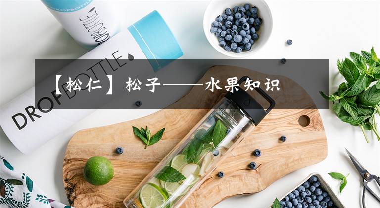 【松仁】松子——水果知识