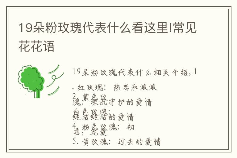 19朵粉玫瑰代表什么看这里!常见花花语