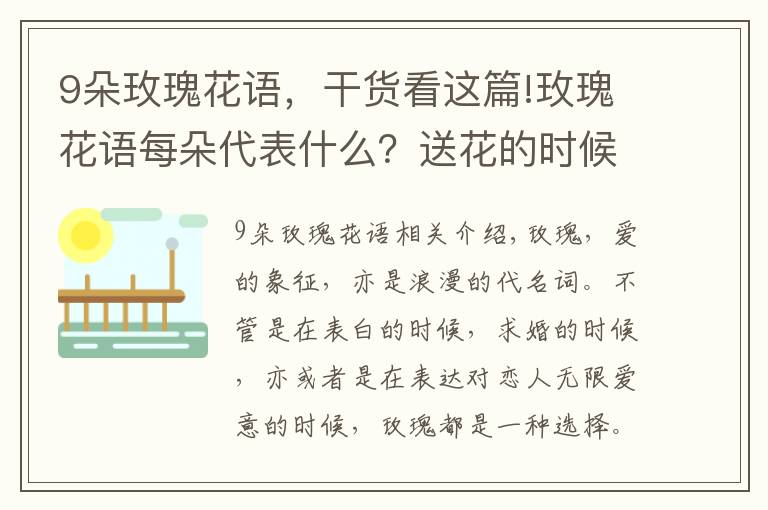 9朵玫瑰花语，干货看这篇!玫瑰花语每朵代表什么？送花的时候注意了