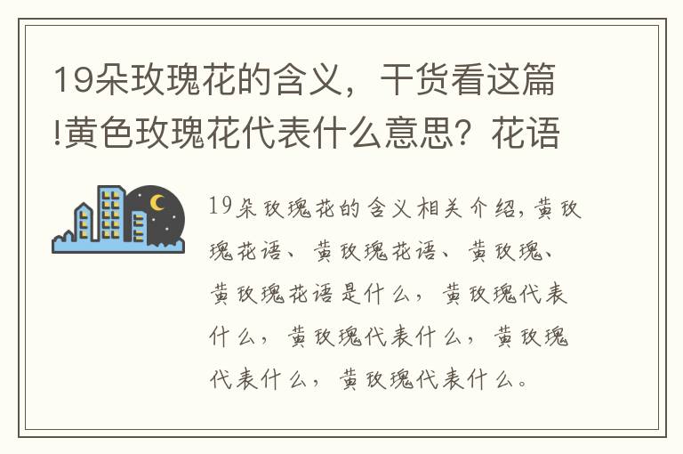 19朵玫瑰花的含义，干货看这篇!黄色玫瑰花代表什么意思？花语是什么？