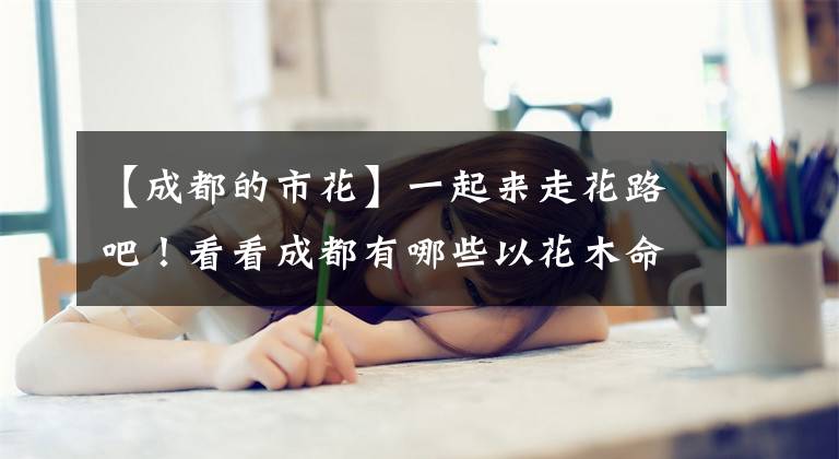 【成都的市花】一起来走花路吧！看看成都有哪些以花木命名的街道