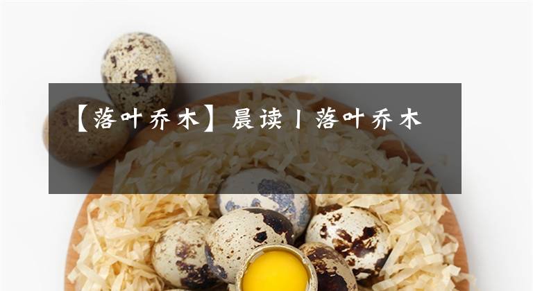 【落叶乔木】晨读丨落叶乔木