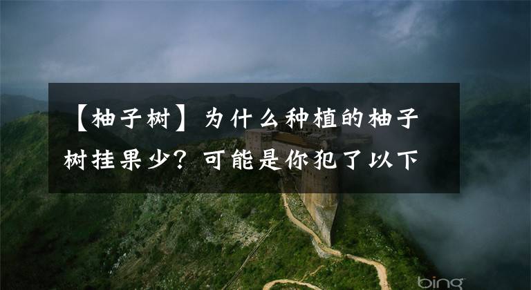 【柚子树】为什么种植的柚子树挂果少？可能是你犯了以下这个错误的管理方法