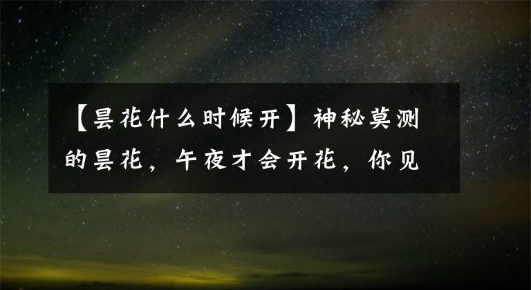 【昙花什么时候开】神秘莫测的昙花，午夜才会开花，你见过吗