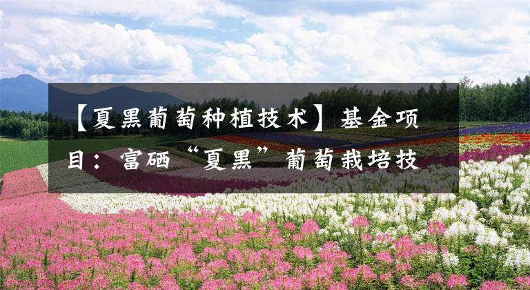 【夏黑葡萄种植技术】基金项目：富硒“夏黑”葡萄栽培技术规定