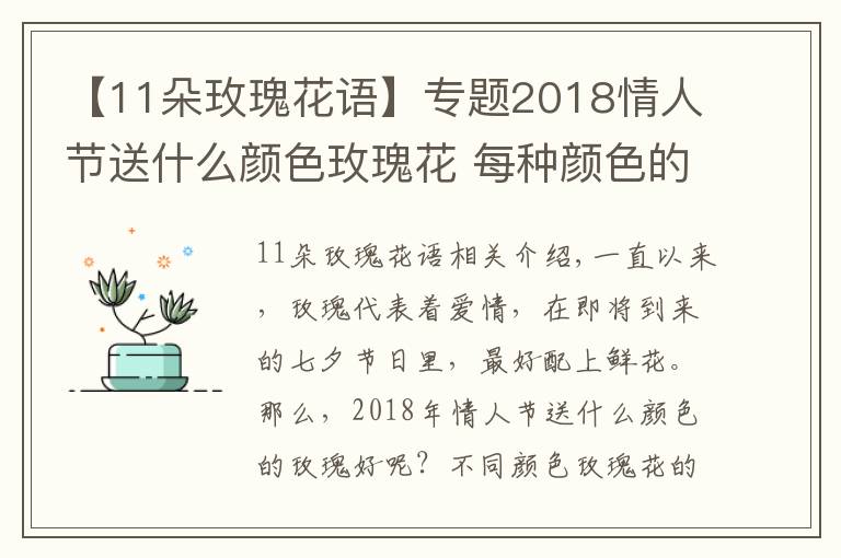 【11朵玫瑰花语】专题2018情人节送什么颜色玫瑰花 每种颜色的寓意