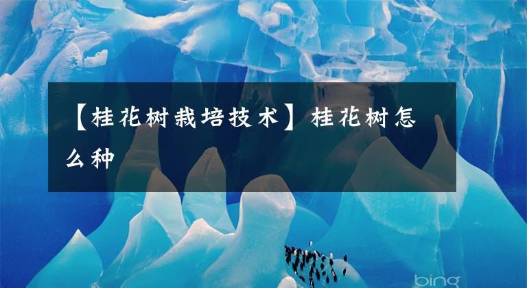 【桂花树栽培技术】桂花树怎么种