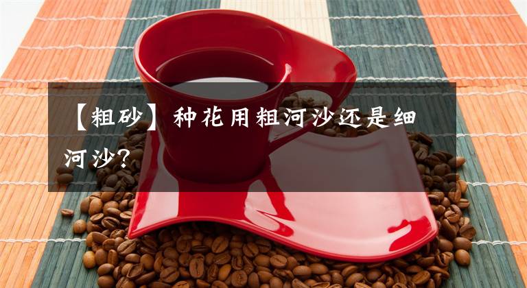 【粗砂】种花用粗河沙还是细河沙？