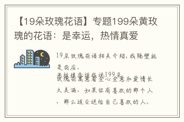 【19朵玫瑰花语】专题199朵黄玫瑰的花语：是幸运，热情真爱