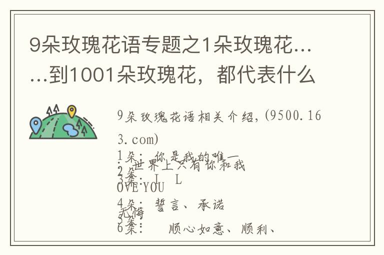 9朵玫瑰花语专题之1朵玫瑰花……到1001朵玫瑰花，都代表什么，你知道吗？