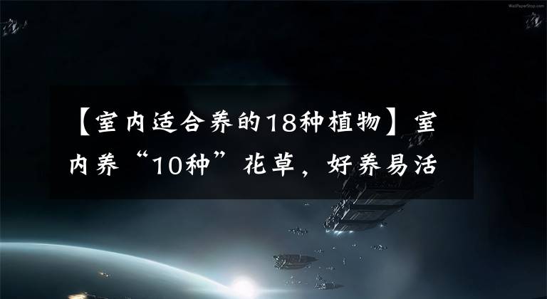 【室内适合养的18种植物】室内养“10种”花草，好养易活，茂盛常绿，提神醒脑净化空气