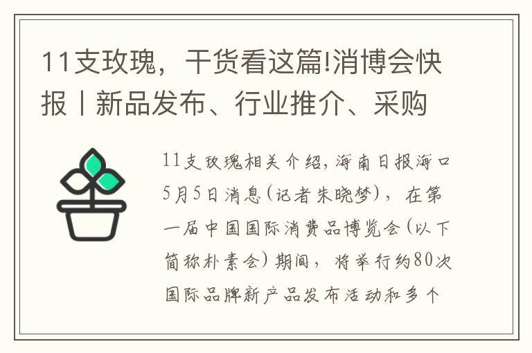 11支玫瑰，干货看这篇!消博会快报丨新品发布、行业推介、采购对接…… 多样活动轮番开展