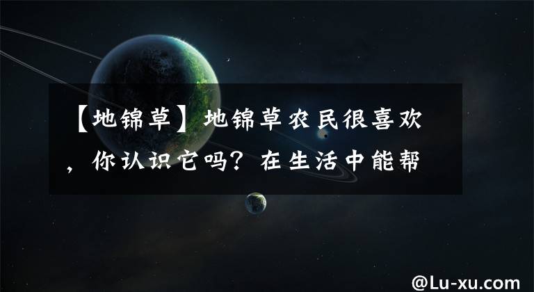 【地锦草】地锦草农民很喜欢，你认识它吗？在生活中能帮助你