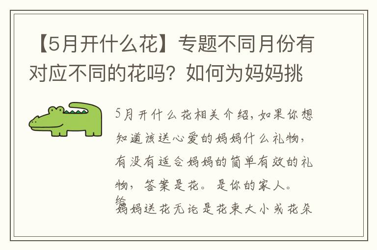 【5月开什么花】专题不同月份有对应不同的花吗？如何为妈妈挑选出生月份的花？