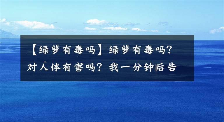 【绿萝有毒吗】绿萝有毒吗？对人体有害吗？我一分钟后告诉你格林罗斯能不能养。