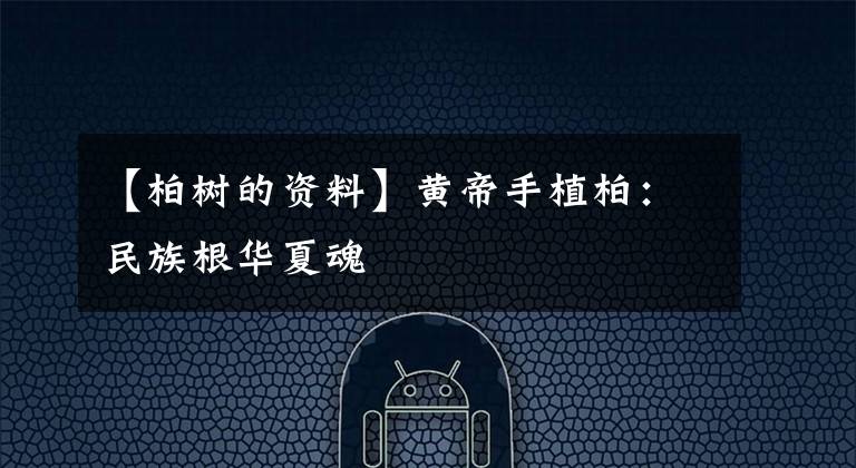 【柏树的资料】黄帝手植柏：民族根华夏魂