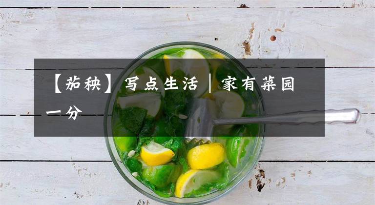 【茄秧】写点生活｜家有菜园一分