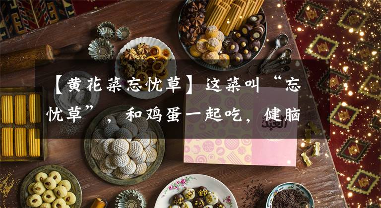 【黄花菜忘忧草】这菜叫“忘忧草”，和鸡蛋一起吃，健脑还安神，睡眠不好可常吃