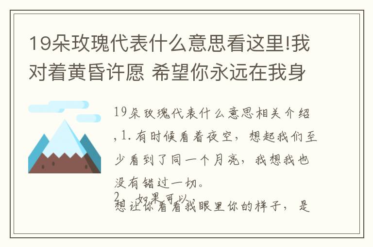 19朵玫瑰代表什么意思看这里!我对着黄昏许愿 希望你永远在我身边