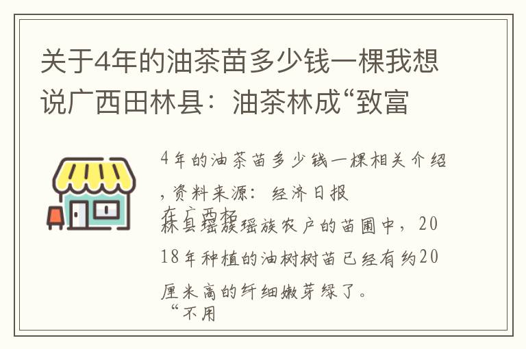 关于4年的油茶苗多少钱一棵我想说广西田林县：油茶林成“致富林”