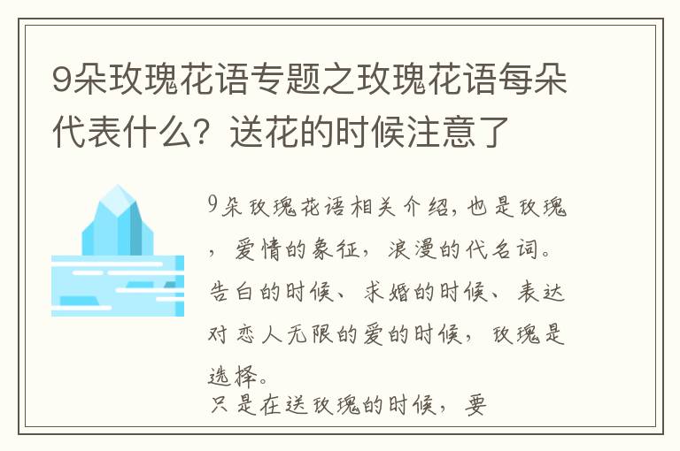 9朵玫瑰花语专题之玫瑰花语每朵代表什么？送花的时候注意了