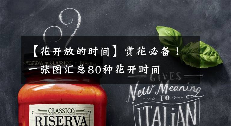 【花开放的时间】赏花必备！一张图汇总80种花开时间