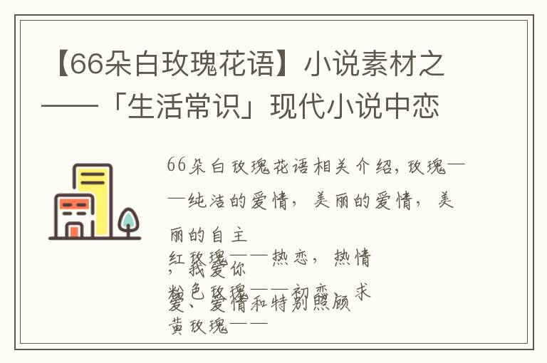【66朵白玫瑰花语】小说素材之——「生活常识」现代小说中恋爱必备送花花语